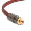 Focal Elite EY05 - Y-RCA audio cable (high performance cable / 1xRCA to 2xRCA / 0.5 m / coppery or milky-transparent / 1 piece)