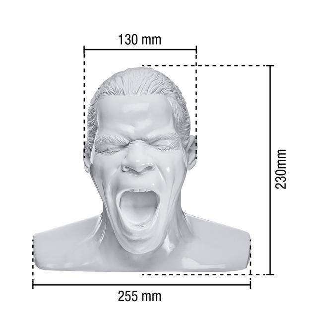 Oehlbach 35402 - Scream - headphone stand in the form of the "Oehlbach head" (white)