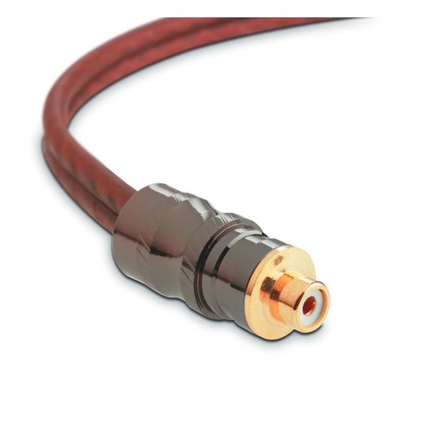 Focal Elite EY05 - Y-RCA audio cable (high performance cable / 1xRCA to 2xRCA / 0.5 m / coppery or milky-transparent / 1 piece)