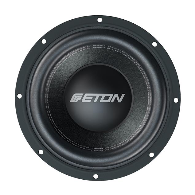 Eton PW 10 Subwoofer Chassis Power25 cm